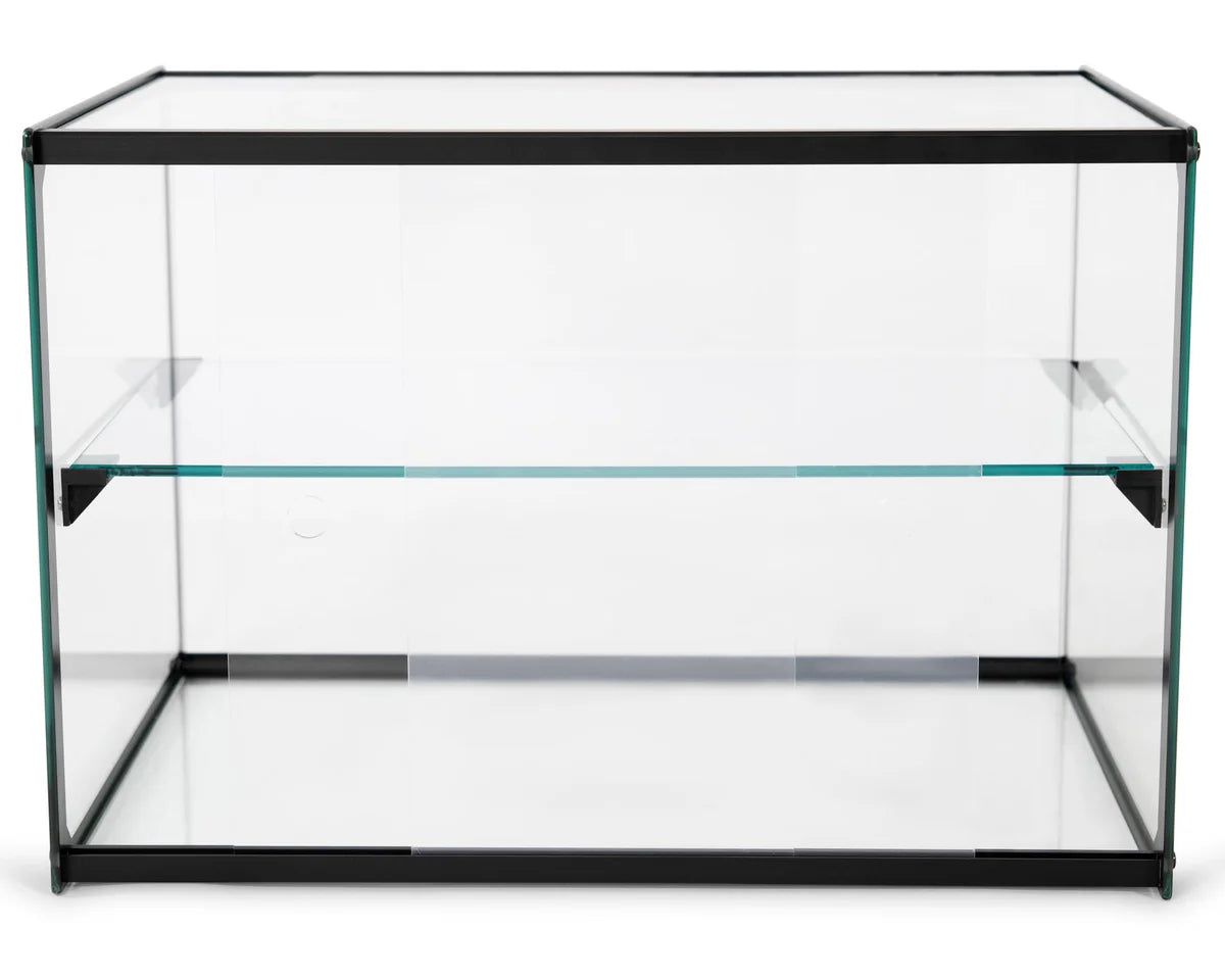 Kuchenvitrine aus gehärtetem Glas - 555 x 390 x 375 mm