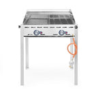 Gasgrill Green Fire PROFI LINE - 2 Brenner