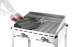 Gasgrill Green Fire PROFI LINE - 2 Brenner
