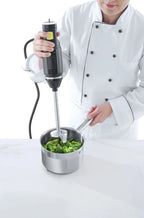Stabmixer Concept Line