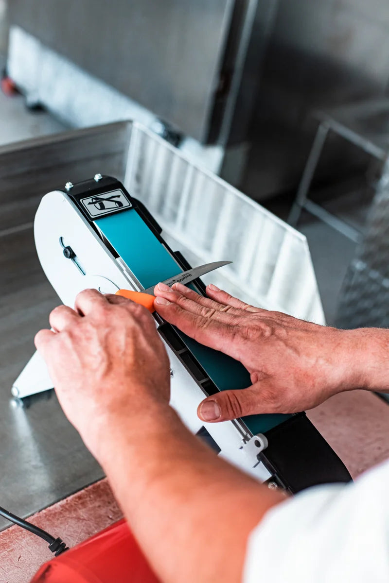 Schleifmaschine SM-100