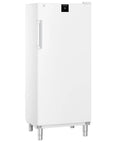 Liebherr Gastronomie Gefrier-Lagerschrank Statische Kühlung FFFsg 5501-40 001