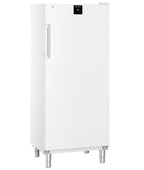 Liebherr Gastronomie Gefrier-Lagerschrank Statische Kühlung FFFsg 5501-40 001