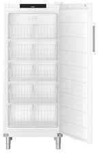 Liebherr Gastronomie Gefrier-Lagerschrank Statische Kühlung FFFsg 5501-40 001