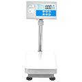 AE Adam Bodenwaage mit Hochanzeige und Einbaudrucker für Etiketten oder Barcodes 60 kg / Lesbarkeit 2 g