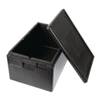 Thermo Future Thermobox PP Eco 46 Liter GN 1/1, von -40 bis +120 °C