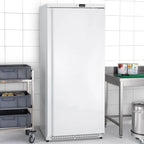 Lagertiefkühlschrank ECO 590 Liter Kühlvolumen, mit 1 Tür, abschließbar, weiß