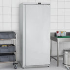 Lagertiefkühlschrank ECO 590 Liter Kühlvolumen, mit 1 Tür, abschließbar, weiß