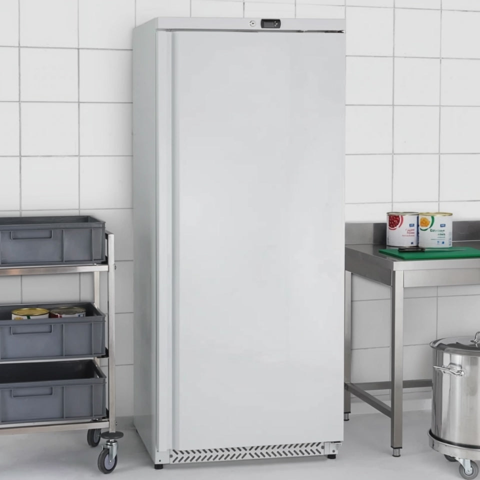 Lagertiefkühlschrank ECO 590 Liter Kühlvolumen, mit 1 Tür, abschließbar, weiß