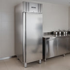 Tiefkühlschrank ELINE 650 GN 2/1 Monoblock - hohe Energieeffizienz