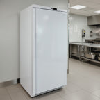 Lagerkühlschrank ECO 590 Liter Kühlvolumen, mit 1 Tür, abschließbar, weiß